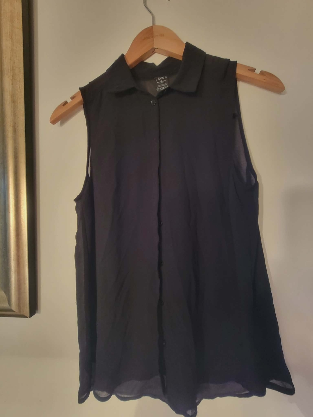 Lavon Black Sleeveless Button-Front Collared Camisole